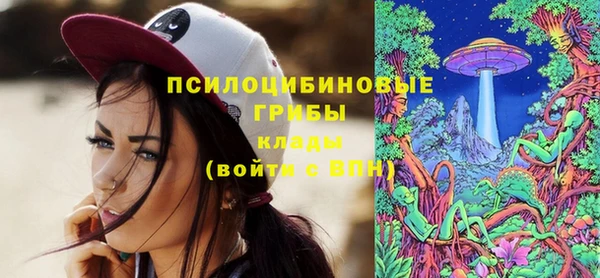 ешки Аркадак