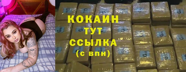 ешки Аркадак