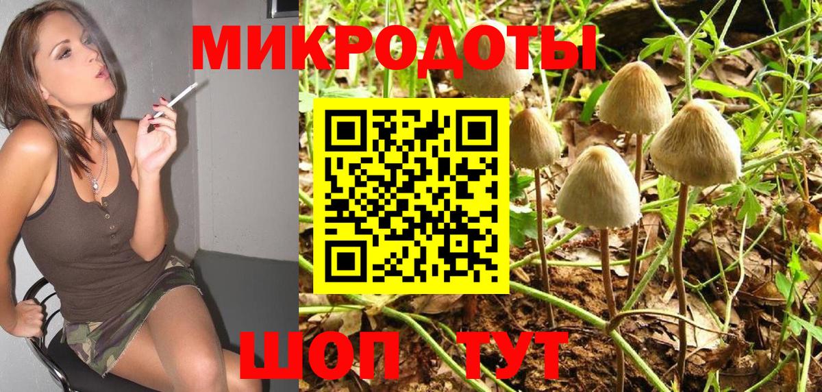 Галлюциногенные грибы Psilocybe Строитель
