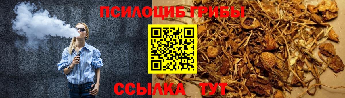 Строитель  Галлюциногенные грибы Psilocybe  Вход с VPN 